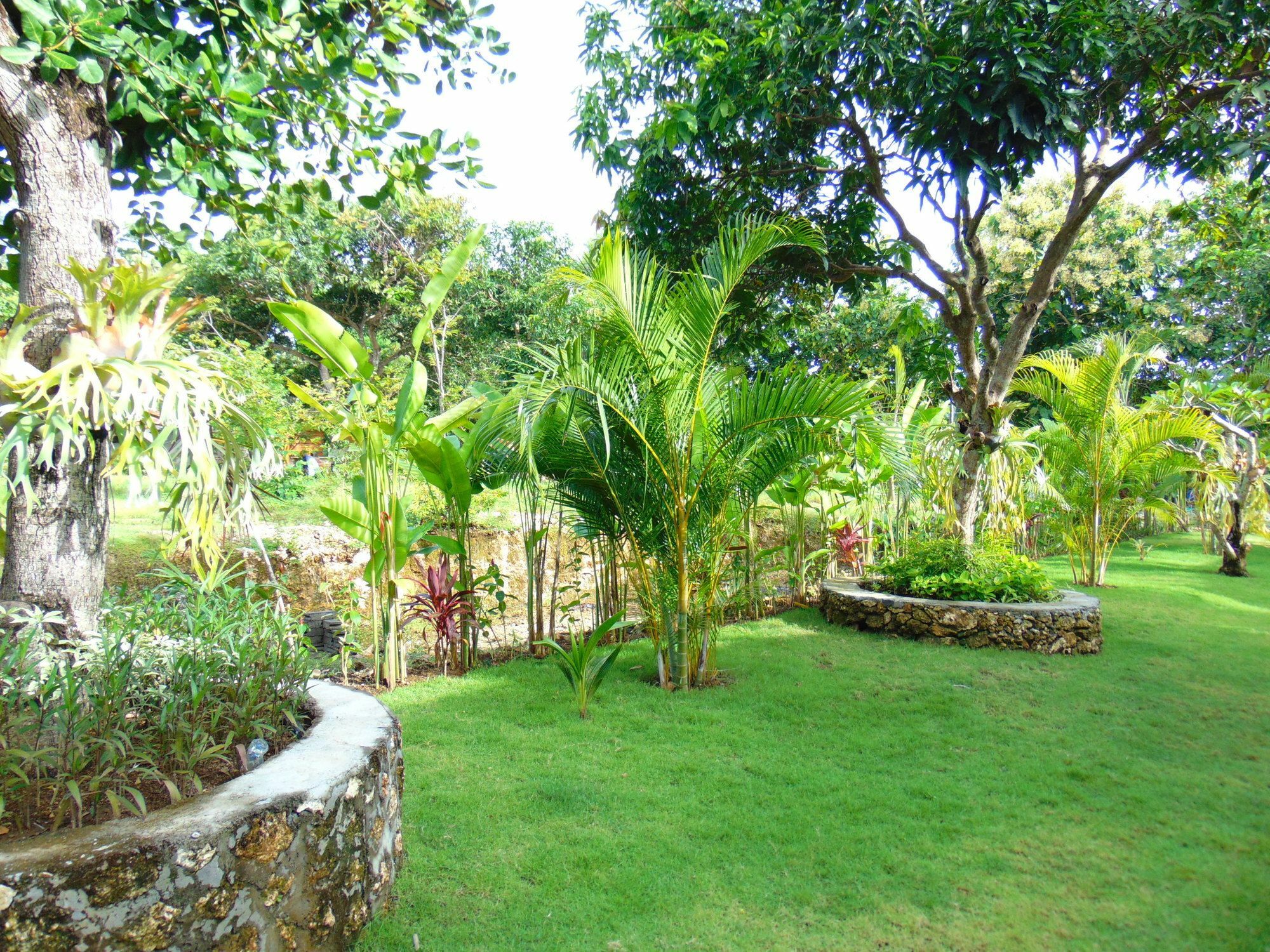 Arumanis Homestay Pecatu Exterior foto
